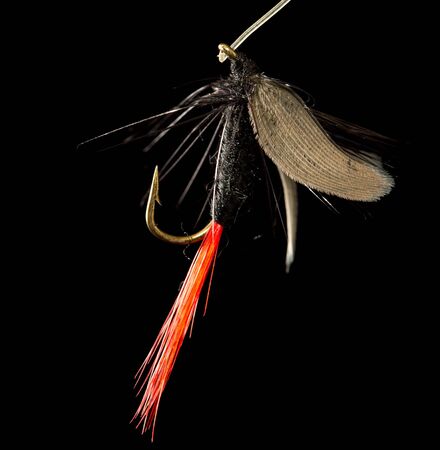 fly to catch fish on a black background