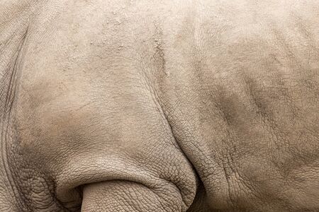 rhino skin as background