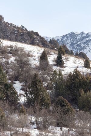 Nature in the Tien Shan mountains in winter. Kazakhstanの写真素材