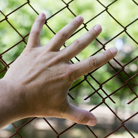hand on a metal fenceの写真素材