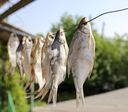 sun-dried salted fish in the air