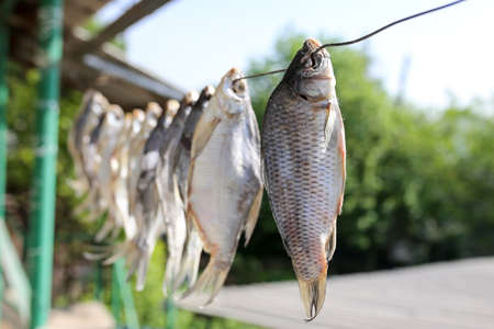 sun-dried salted fish in the airの写真素材