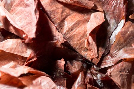 peel onion as background. textureの写真素材