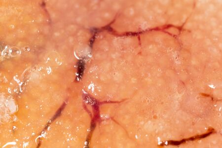 fish caviar as a background. macroの写真素材