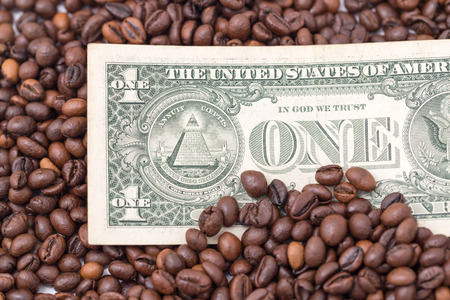 one dollar in coffee beansの写真素材