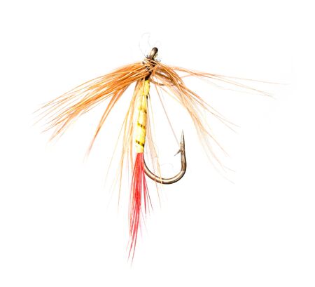 fly for fishing on a white background