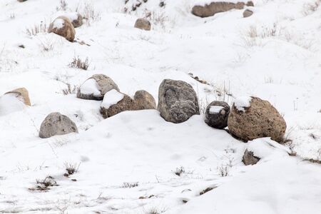 stones in the snow on the natureの写真素材
