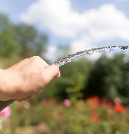 Irrigation water from the hose outdoors