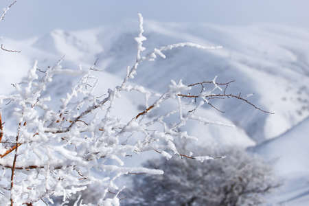 snowy mountains of Tien Shan mountains in winterの写真素材