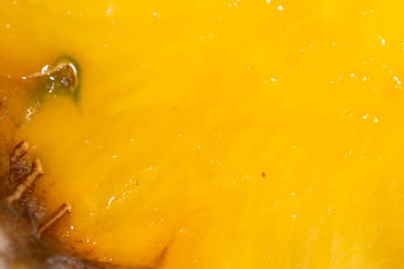 juicy pineapple as a background. macroの写真素材