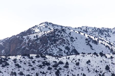 Nature in the Tien Shan mountains in winter. Kazakhstan
