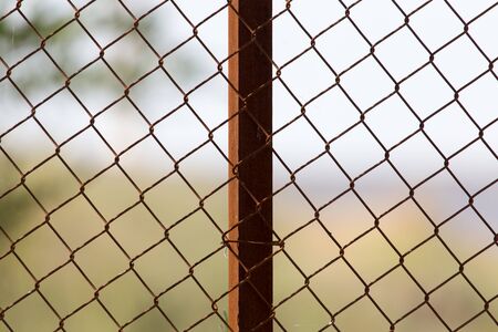 metal mesh in nature as a backgroundの写真素材