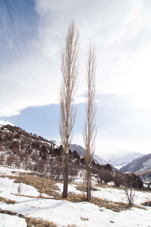 Nature in the Tien Shan mountains in winter. Kazakhstanの写真素材