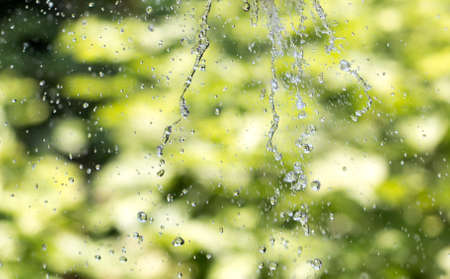 water splashes on green natureの写真素材