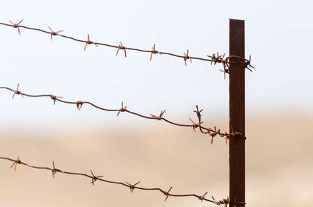 barbed wire on the sky backgroundの写真素材