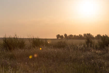 Sunset in the steppes of Kazakhstanの写真素材