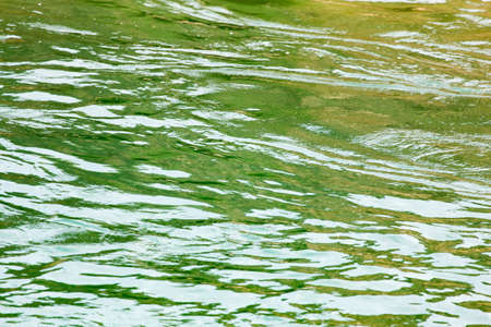expanse of water in the lake as a backdropの写真素材