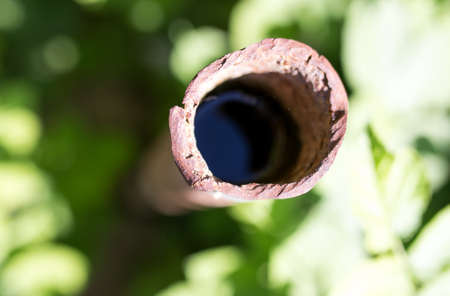 rusty pipe on the natureの写真素材