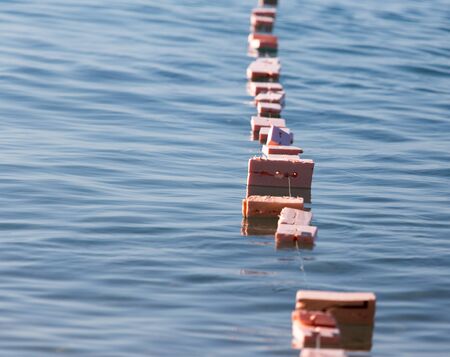 Fishing floats on the surface of the waterの写真素材