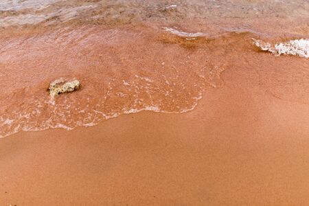 sandy shore of the sea as a backdropの写真素材