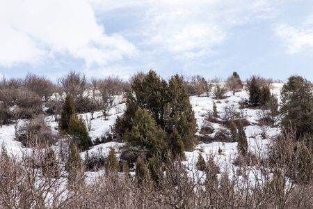 Nature in the Tien Shan mountains in winter. Kazakhstan