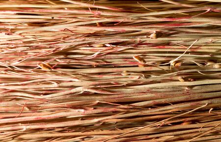 broom as background