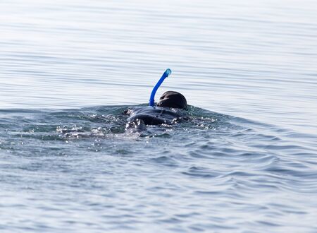 diver on the lakeの写真素材
