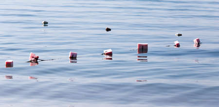 Fishing floats on the surface of the waterの写真素材