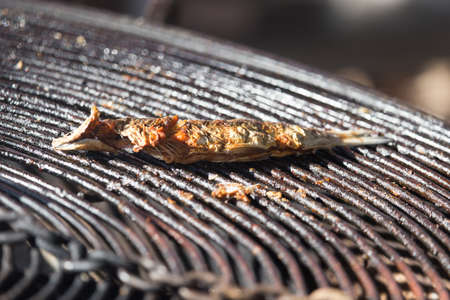 fried fish on the barbecueの写真素材