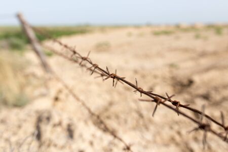 barbed wire fence in the natureの写真素材