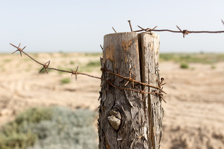 barbed wire fence in the natureの写真素材
