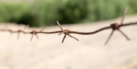 barbed wire fence in the nature