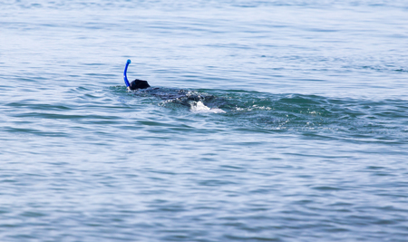 diver on the lakeの写真素材
