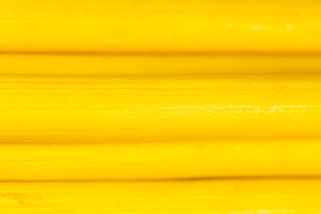 yellow pencils as backgroundの写真素材