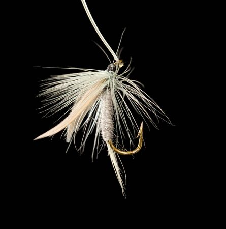 fly to catch fish on a black backgroundの写真素材