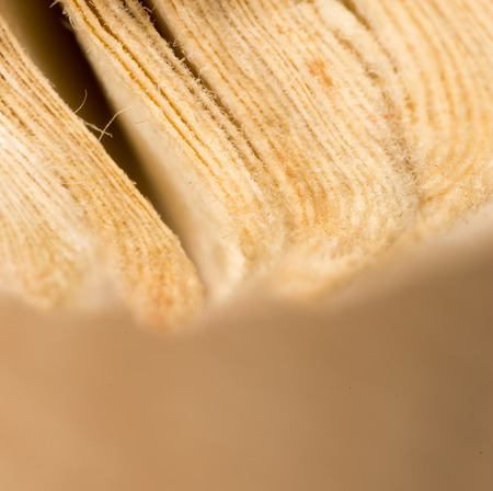 page of the old book as background. macroの写真素材