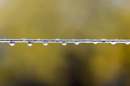 raindrops on wire. macroの写真素材