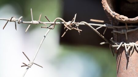 barbed wire outdoors as a backgroundの写真素材