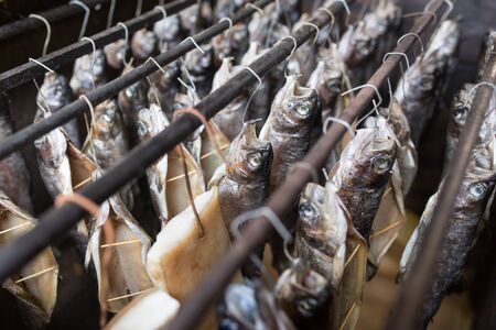 production of smoked fishの写真素材