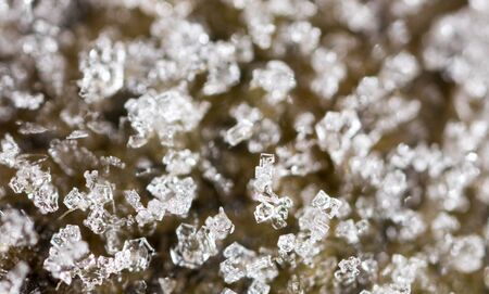 leaf with hoarfrost. macro