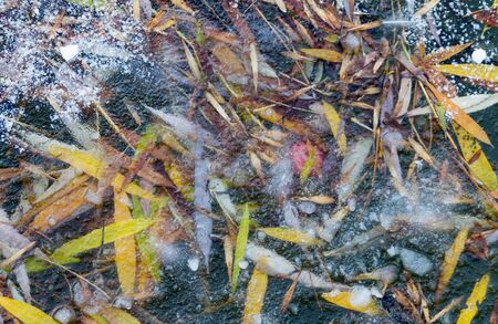 under the ice sheet