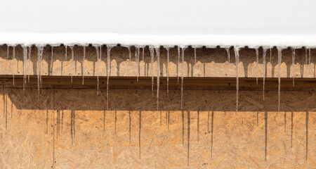 icicles on winter nature