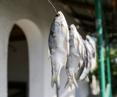 sun-dried salted fish in the air