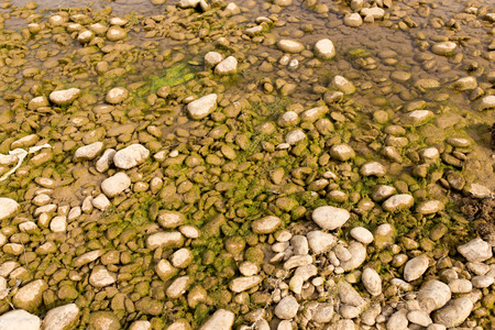 stones in the river in nature