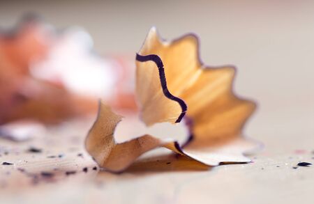 debris from a pencil. macroの写真素材
