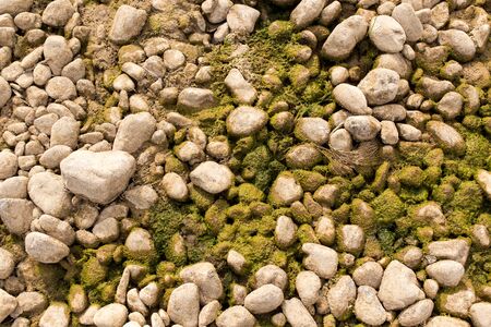stones in the river in natureの写真素材