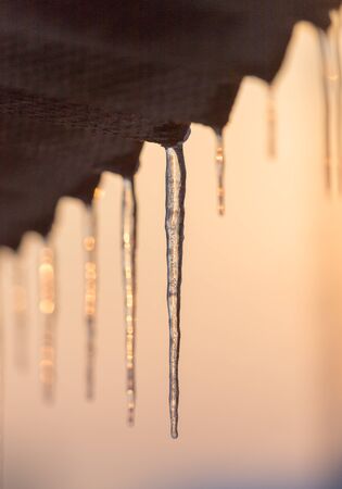 winter icicles on the sun dawnの写真素材