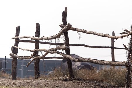 wooden stick on the fenceの写真素材