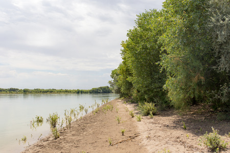 Beautiful nature on the river Syr Darya. Kazakhstan