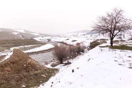 mountain river in the winter in natureの写真素材